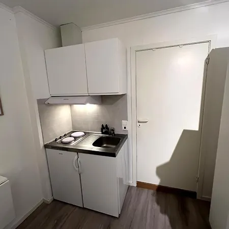 Διαμέρισμα Liten Studioleilighet Meget Sentralt I Sentrum, 3 Minutter Fra Torget *