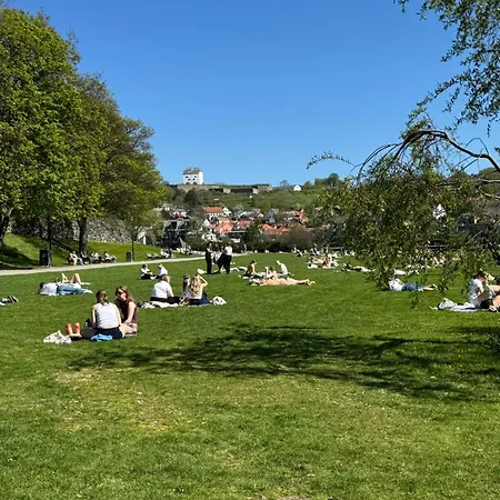 Liten Studioleilighet Meget Sentralt I Sentrum, 3 Minutter Fra Torget Διαμέρισμα *