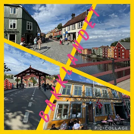 Liten Studioleilighet Meget Sentralt I Sentrum, 3 Minutter Fra Torget *