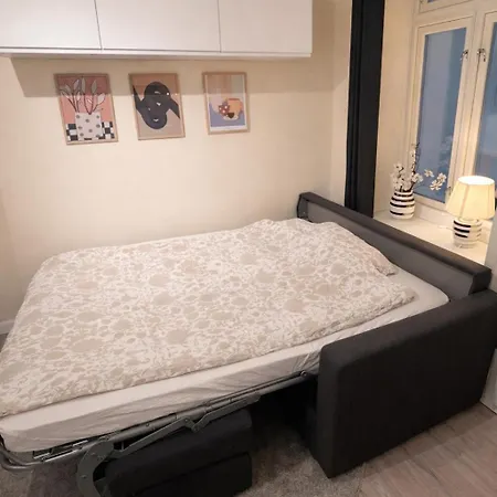 Liten Studioleilighet Meget Sentralt I Sentrum, 3 Minutter Fra Torget Apartment *
