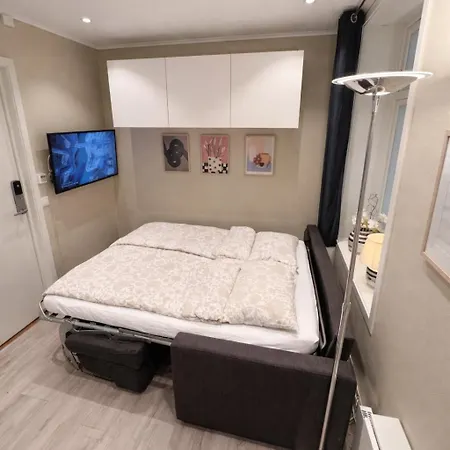 Liten Studioleilighet Meget Sentralt I Sentrum, 3 Minutter Fra Torget Apartment Trondheim