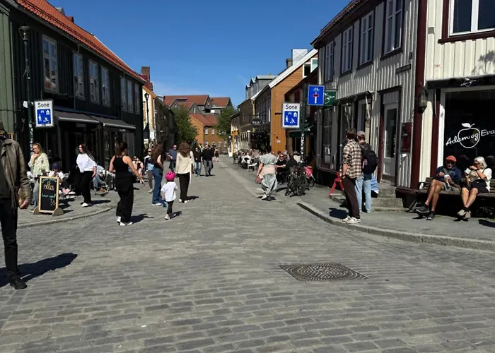 Liten Studioleilighet Meget Sentralt I Sentrum, 3 Minutter Fra Torget Тронхейм