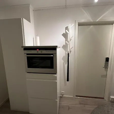 公寓 Liten Studioleilighet Meget Sentralt I Sentrum, 3 Minutter Fra Torget 特隆赫姆