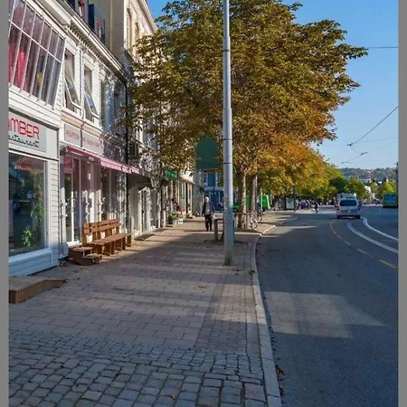Liten Studioleilighet Meget Sentralt I Sentrum, 3 Minutter Fra Torget 特隆赫姆
