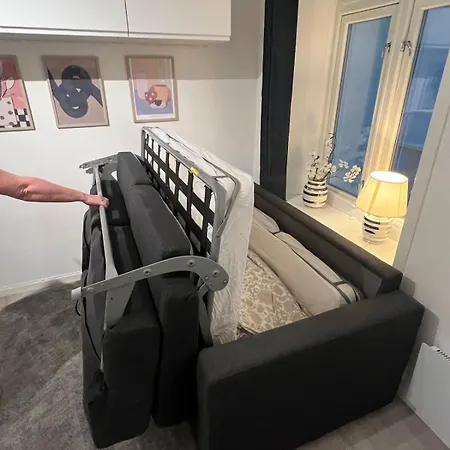 Liten Studioleilighet Meget Sentralt I Sentrum, 3 Minutter Fra Torget *