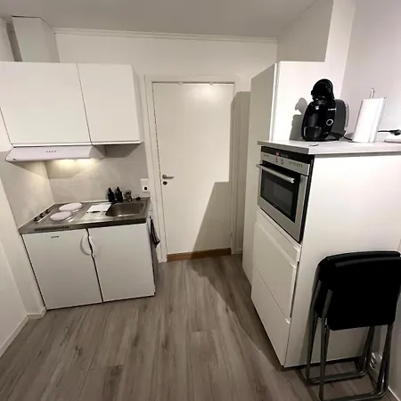 Liten Studioleilighet Meget Sentralt I Sentrum, 3 Minutter Fra Torget 特隆赫姆