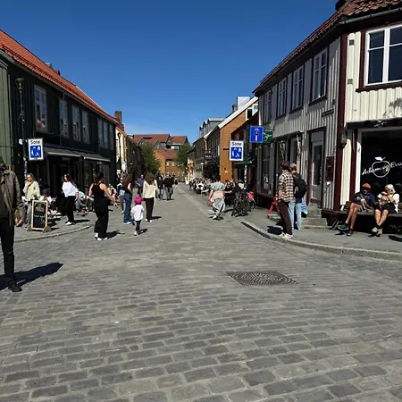 Liten Studioleilighet Meget Sentralt I Sentrum, 3 Minutter Fra Torget 特隆赫姆